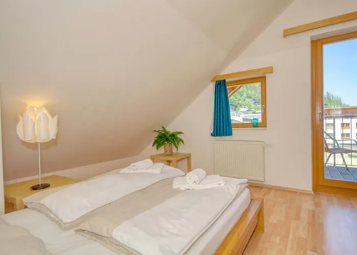 - By Alpen アパート ツェル アム ゼー